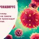 коронавирус, вирусы, прогнозы, предсказания, вирусы в россии, апокалипсис
